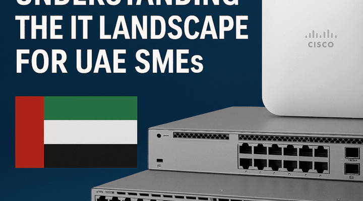Understanding the IT Landscape for UAE SMEs